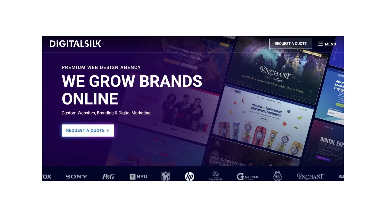 Digital Silk Top Social Media Management Agencies