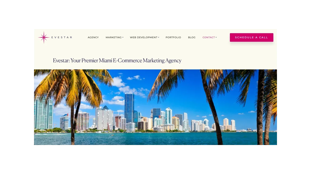 Evestar - Top Digital Marketing Agencies for eCommerce