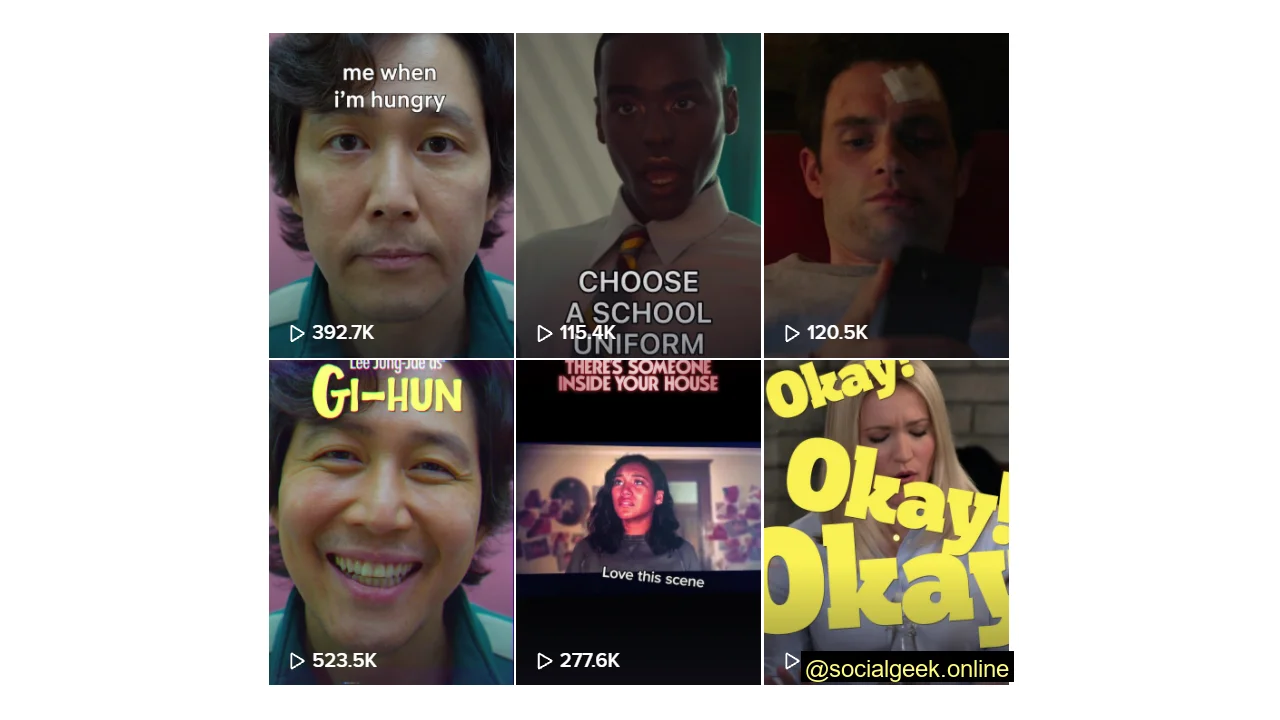 Entertainment Brand on TikTok - Netflix