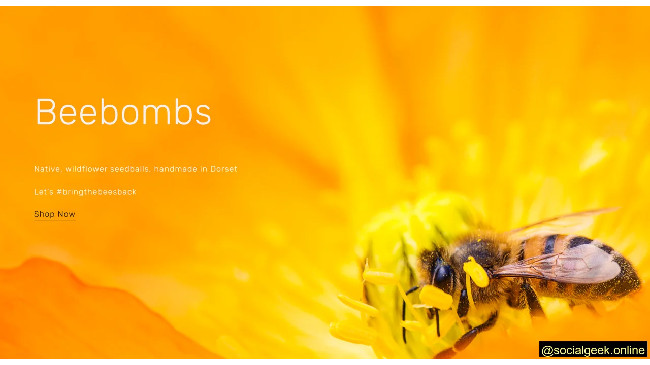 Examples of eCommerce brands on social media