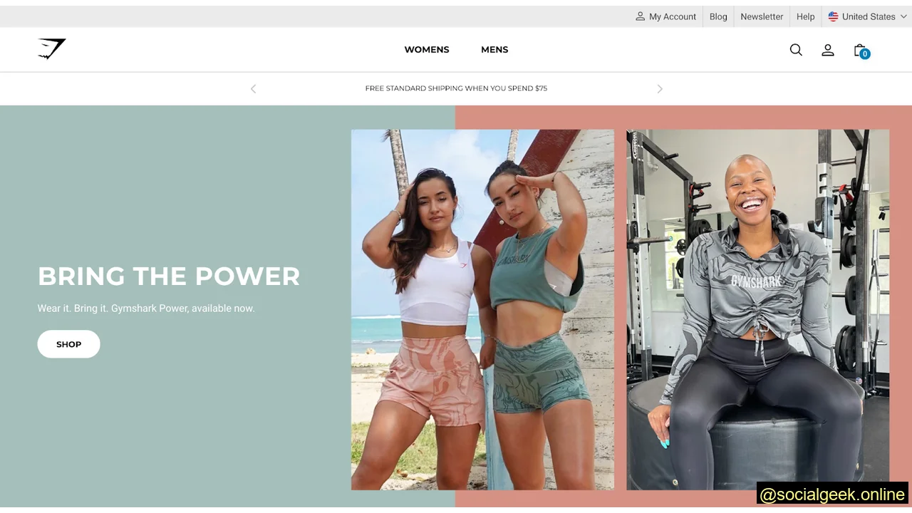 ecommerce social media strategy