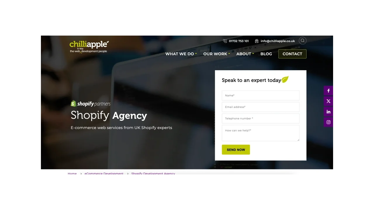 ChilliApple - Shopify App Development