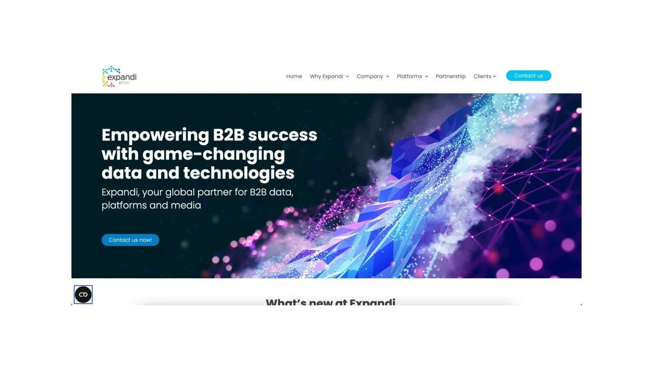 Expandi Group Top Performance Marketing Agencies for SaaS and Tech Brands