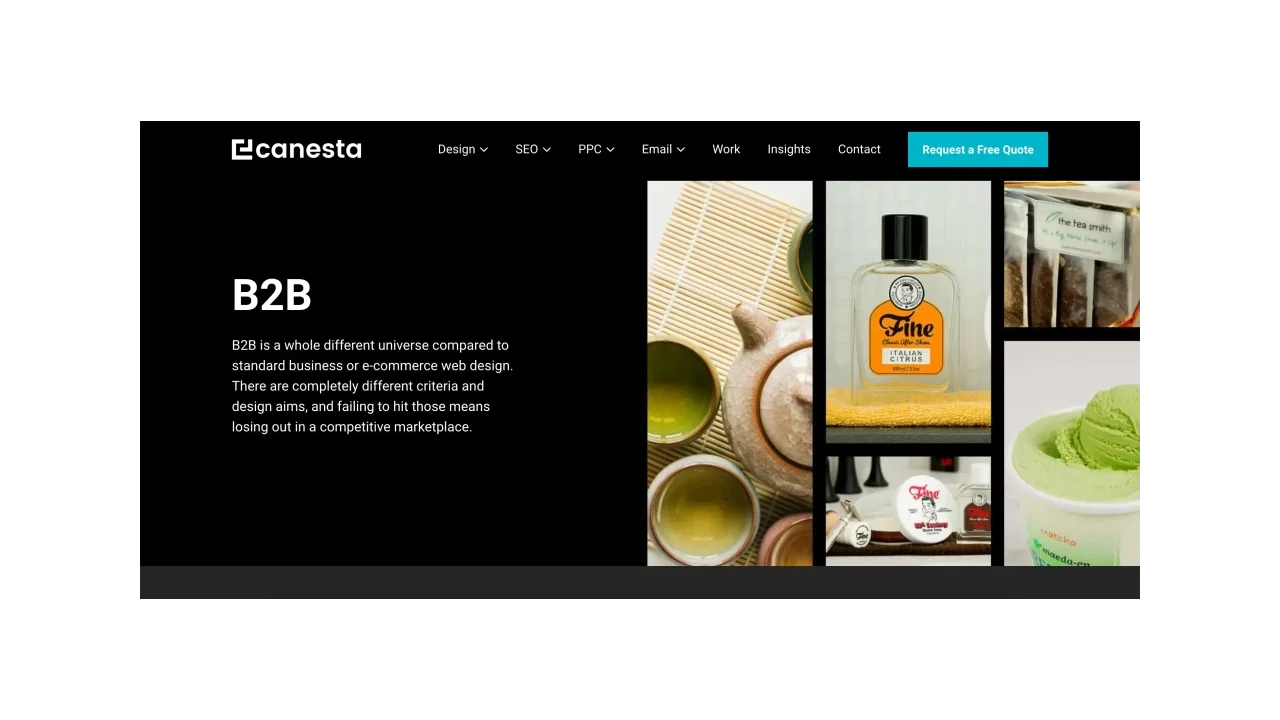 Canesta Top B2B Social Media Agencies