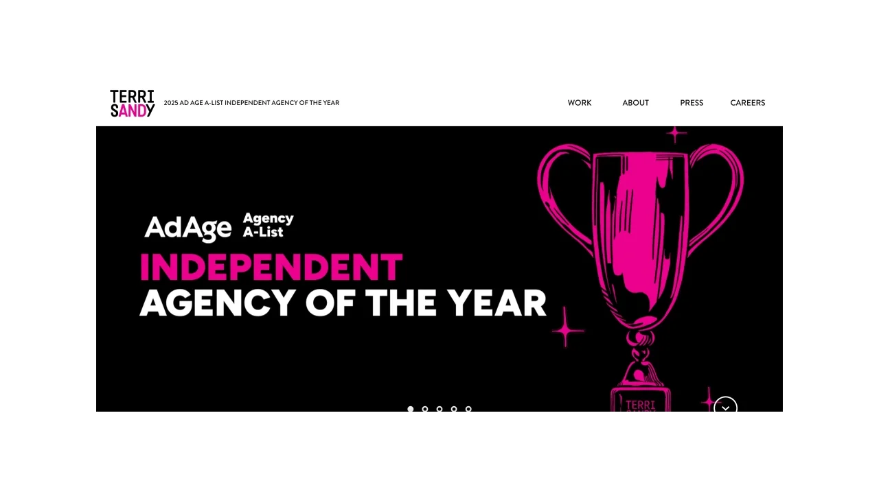 Terri Sandy - New York independent advertising agency