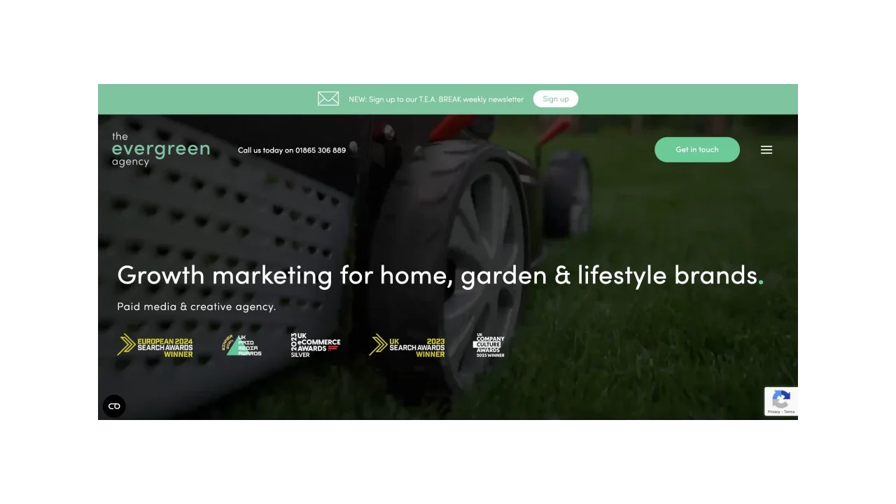 The Evergreen Agency - SEO Specialists for eCommerce brands