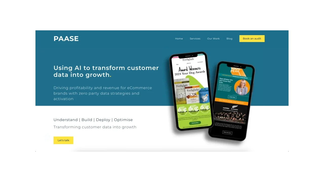 PAASE Digital Top eCommerce Email Marketing Agencies