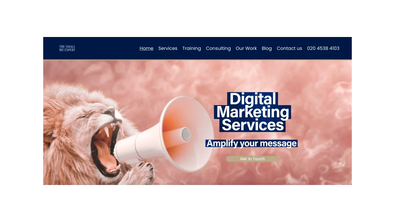 The Small Biz Expert Top Performance Marketing Agencies for Small Businesses