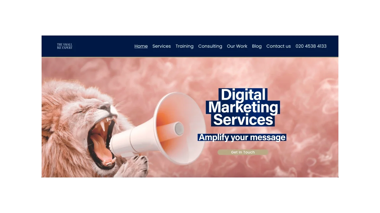 The Small Biz Expert Top Digital Marketing Agencies for Small Business