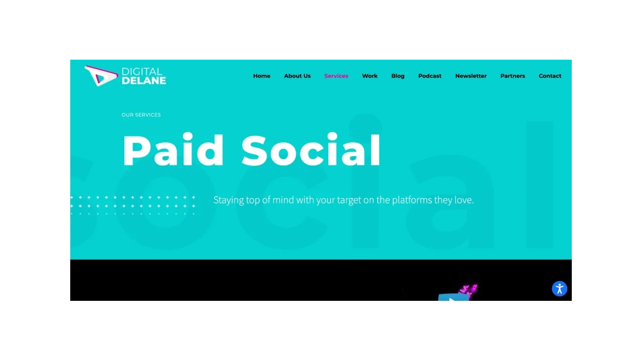 Digital Delane Top Paid Social Agencies