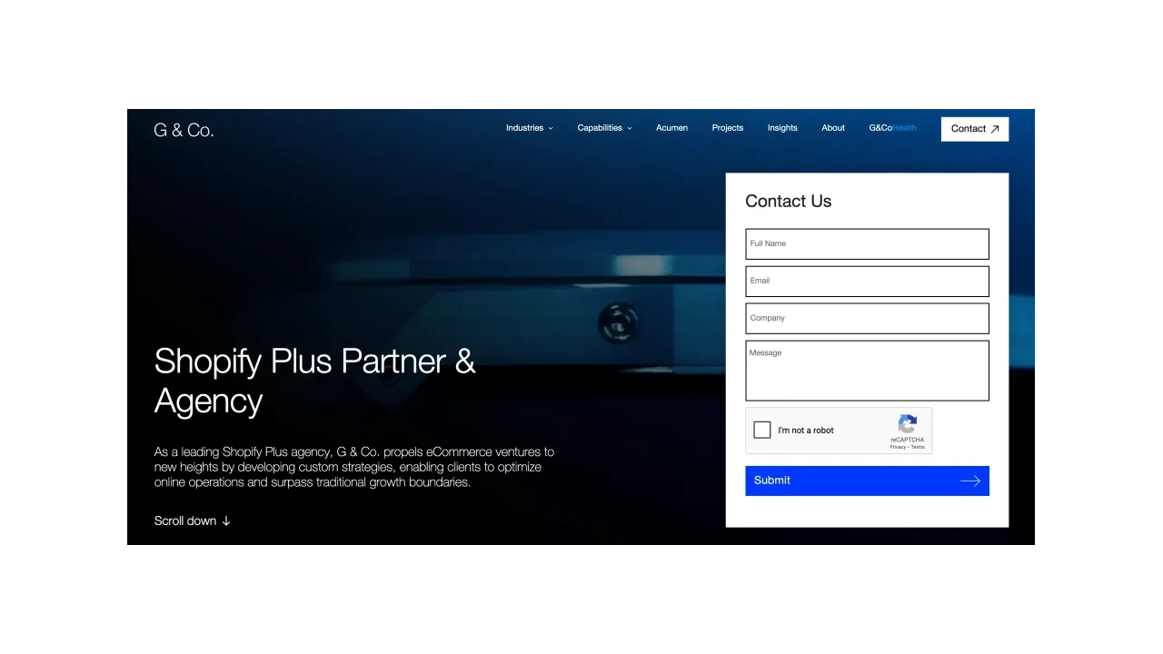 Top eCommerce Web Design & Development Agencies