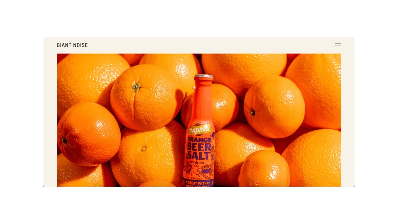 Giant Noise - Top Social & PR Agencies