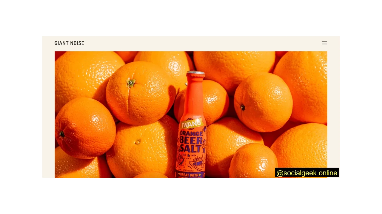 Giant Noise - Top Social & PR Agencies