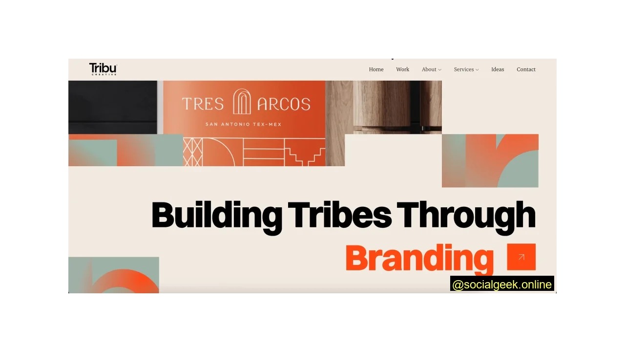 Tribu - Top Creative Social Media Agencies