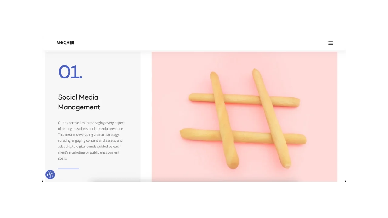 Mochee Top Social Media Management Agencies