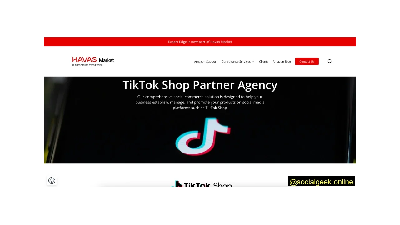 HAVAS Market Top TikTok Shop Agencies in the UK