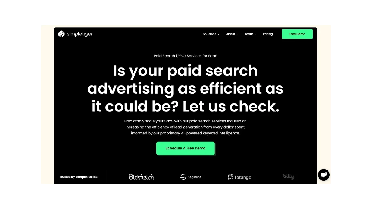 Simple Tiger Google Ads for SaaS & Technology Brands