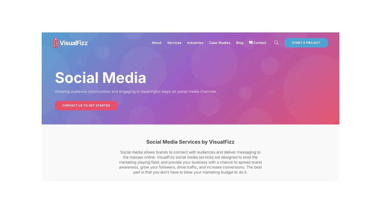 VisualFizz - Social Media Marketing Agency Chicago