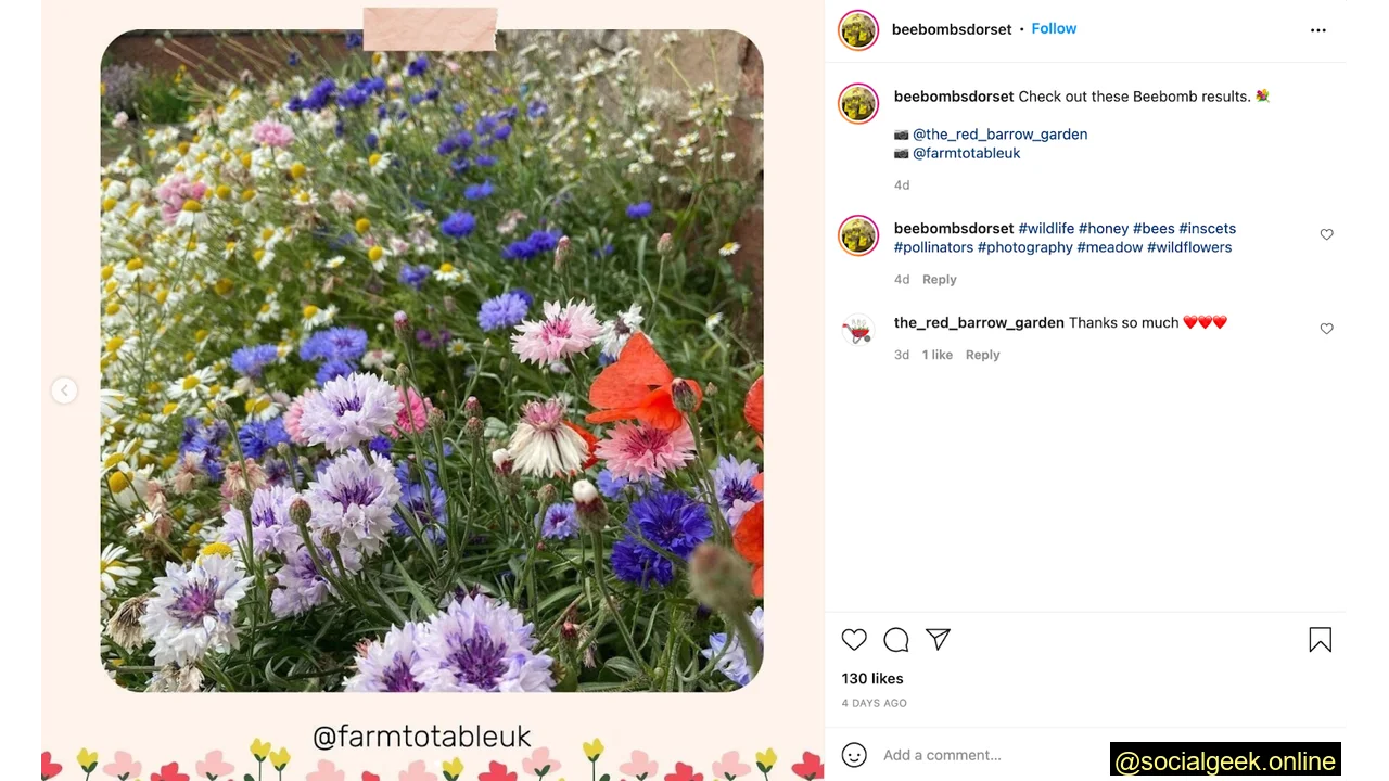 Post results on social media