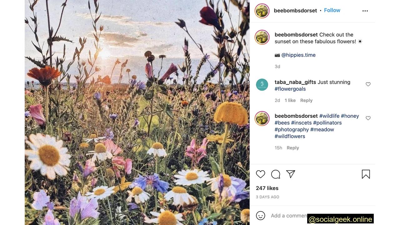 User-generated content for Instagram strategy